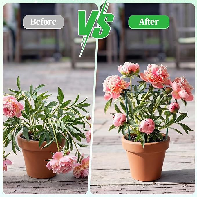 Novabright 2 Pcs 24" H x 20" D Large Peony Cage and Support Grow Through Plant Supports Round Garden Flower Stake Plants Ring Hoop for Outdoor Floral Tomato Vegetable Improve Planting Success Rate