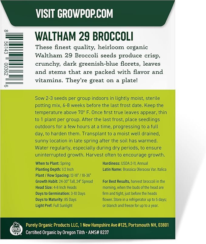 Purely Organic Broccoli Seeds (Waltham 29) - Approx 750 Seeds - USDA Organic, Non-GMO, Open Pollinated, Heirloom, USA Origin