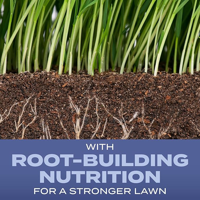 Scotts Turf Builder Grass Seed Heat-Tolerant Blue Mix for Tall Fescue Lawns with Fertilizer and Soil Improver, 16 lbs.