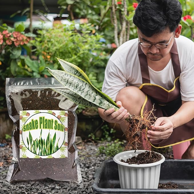 Premium Snake Plant Soil Mix 1qt, Indoor Plants Potting Mix for All Potted Snake Plants, Promote Healthy Growth and Easy Care, black