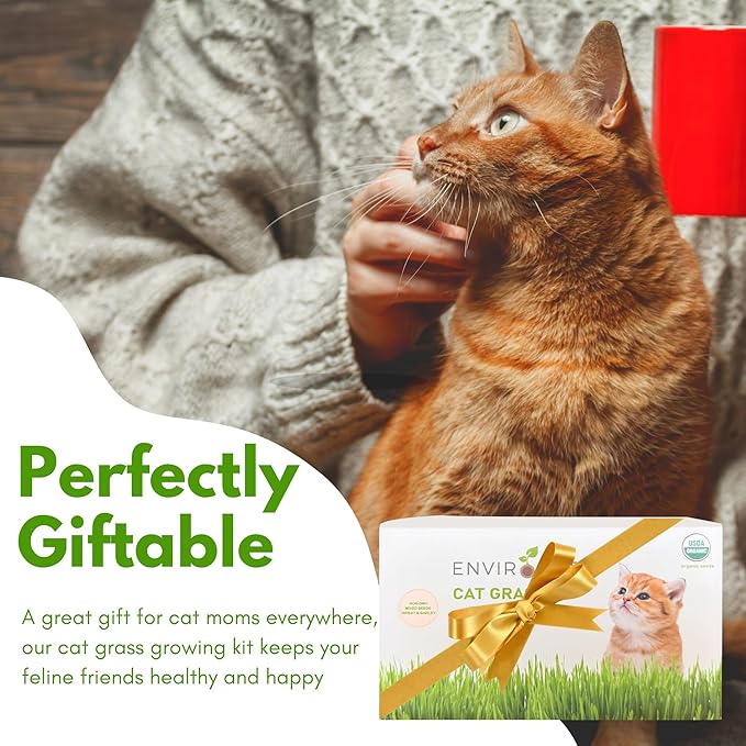 Environet Cat Grass Kit for Indoor Cat, Organic Grass Growing Kit with Seeds, Soil and Planting Tools, Quick Germination, Perfect for Beginners, 3-Pack Plastic Pots