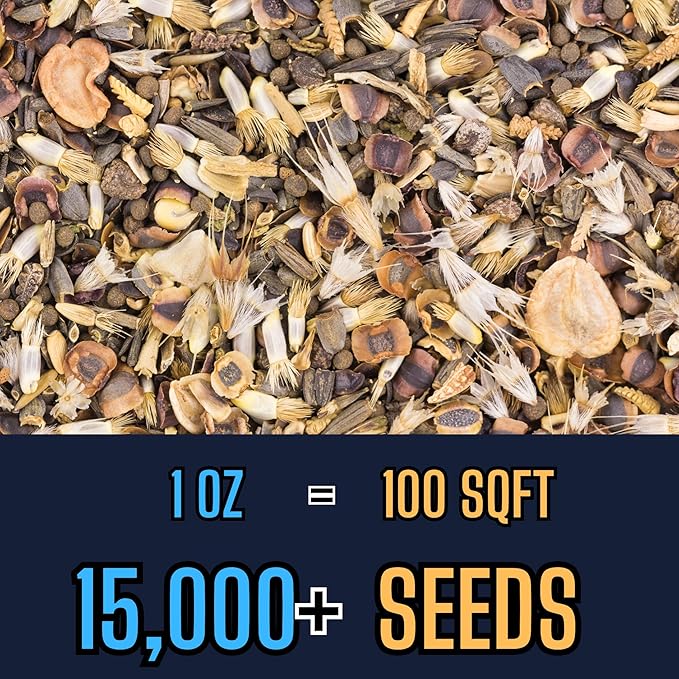 Birds & Butterfly Wildflower Mix (1oz) Sprinkle a Little Magic—Our Shade, Perennial, Hummingbird, Deer-Resistant, and Other mixes Bring Vibrant Color and pollinator Joy to Any Space.