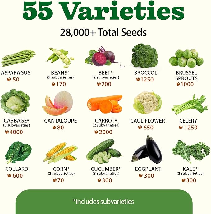 HOME GROWN 𝗨𝗦𝗔 𝗣𝗥𝗘𝗠𝗜𝗨𝗠 55 Vegetable Seeds Pack 28,000 & HOME GROWN 𝗨𝗦𝗔 𝗣𝗥𝗘𝗠𝗜𝗨𝗠 8 Onion Seeds for Planting – 1,600 Heirloom 𝗡𝗢𝗡-𝗚𝗠𝗢