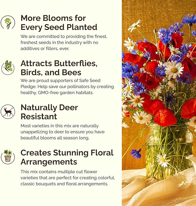 Eden Brothers Massachusetts Wildflower Mixed Seeds for Planting, 1/4 lb, 120,000+ Seeds with Catchfly, Sweet William | Attracts Pollinators, Plant in Spring or Fall, Zones