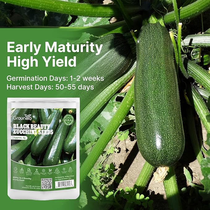 Groundio Black Beauty Zucchini Seeds for Planting, Approx 4g - Non-GMO Heirloom Seeds for Home Vegetable Garden