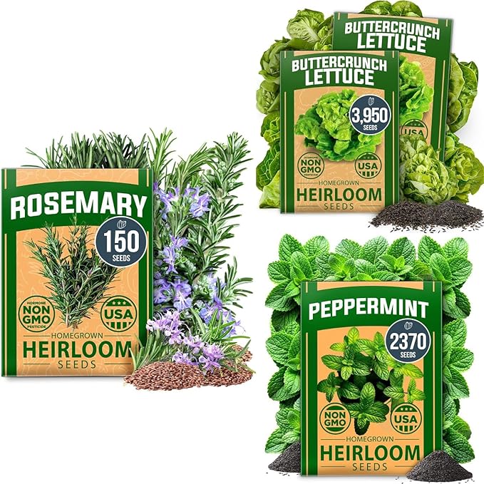 HOME GROWN Herb & Lettuce Seeds 3-Pack – Rosemary (150), Peppermint (2,370), Buttercrunch Lettuce (3,950) – Non-GMO, USA-SOURCED Heirloom Seeds for Indoor & Outdoor Growing