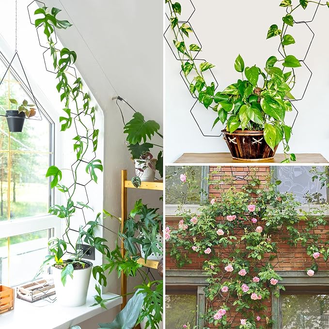 Chain Trellis for Climbing Plants Indoor 6.69 Inch Garden Trellis for Climbing Plants Metal Plant Supports Wall Trellis for Monstera, Pothos, Ivy, Roses Hexagonal Design Black (14 Pcs)