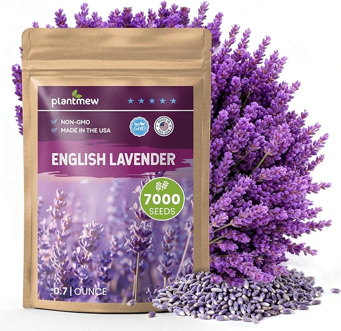 English Lavender Seeds for Planting Outdoors or Indoors, 7000+ Heirloom Non-GMO Seeds, 90% Germination Rate, Container, Herb Garden, Culinary & Crafts (0.7 Ounce Pouch)