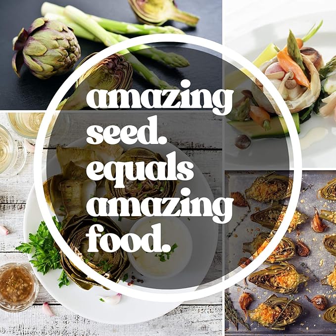 Purple Italian Globe Artichoke Seeds - 3 Gram Packet ~20 Seeds - Non-GMO, Heirloom Vegetable Garden Seeds - Cynara scolymus