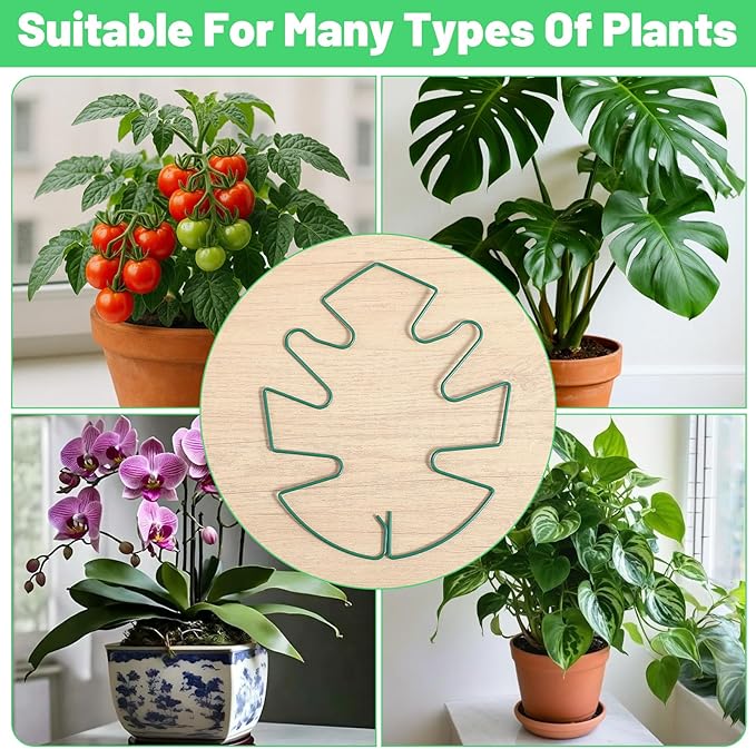 5 Pcs Plant Stakes for Indoor Plants, Reusable Iron Monstera Plant Support Structures Plant Supports for Indoor Plants Climbing and Thriving Growth Holders Gardening Accessories