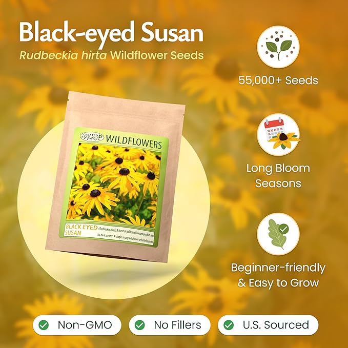 Created By Nature Black-Eyed Susan Wildflower Seeds, 55,000 Non-GMO Yellow Daisy Seeds