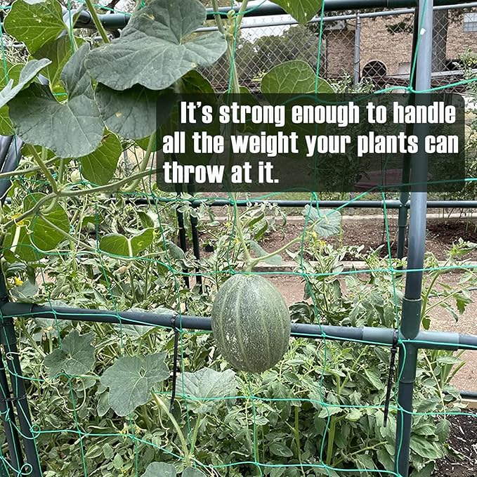 Trellis Netting, Heavy-Duty Garden Grow Netting for Climbing Plants, Outdoor Indoor Net for Cucumber, Tomatoes, Beans, Clematis, Fruits & Vegetables, Climbing Vining Plants (8.2' x 6.6'Ft)