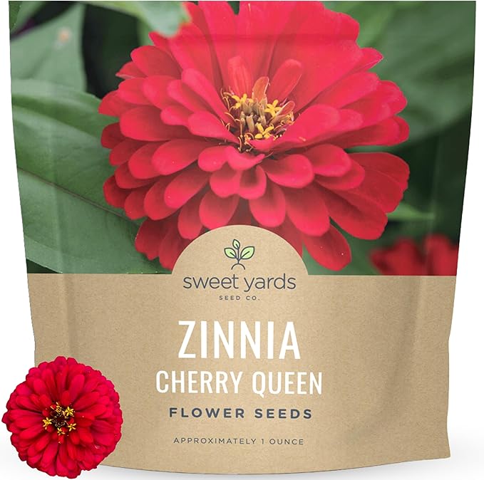 Zinnia Cherry Queen – Large 1 Ounce Packet – 4,000 Flower Seeds for Planting – Zinnia elegans