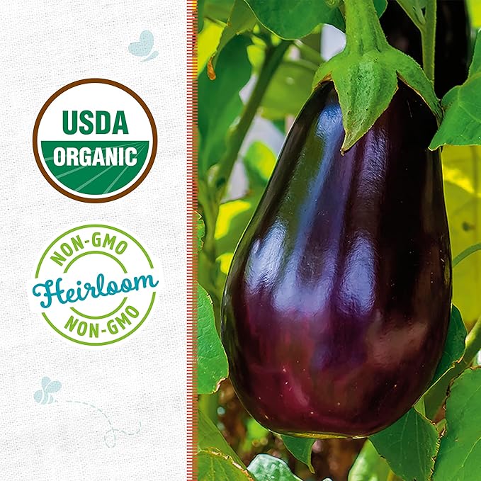 Back to The Roots 100% Organic Seed Packet - Eggplant 'Black Beauty' 140mg