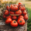Mule Team Heirloom Tomato - 50 Seeds - Rare Heirloom & Open-Pollinated Variety, Non-GMO Vegetable Seeds for Planting in The Home Garden, Thresh Seed Company
