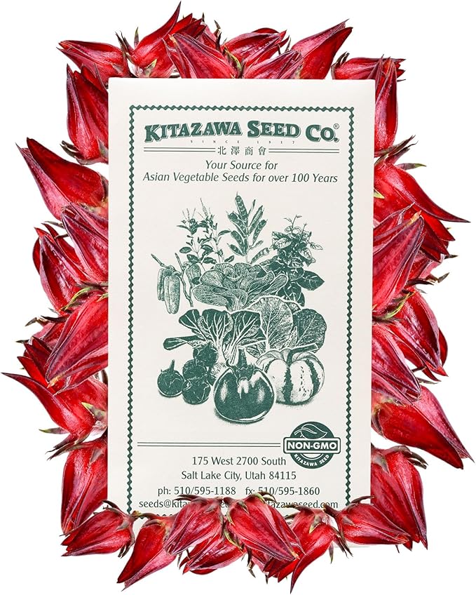 Kitazawa Seed Company Asian Sour Leaf Seeds – 3g Packet (~76 Seeds) – Florida Cranberry, Indian Sorrel, Jamaican Tea, Red Sorrel (Hibiscus sabdariffa) – Heirloom, Non-GMO