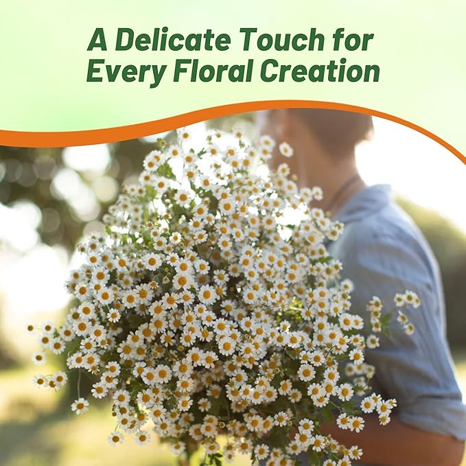 Outsidepride Feverfew Chrysanthemum Seeds - 5000 Pcs. Perennial, Drought Tolerant Flower Seeds for Planting in Pollinator Gardens, Cut Flowers & Low Maintenance Landscaping