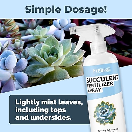 Succulent Fertilizer Spray – Fast-Acting Mist for Compact Growth & Vibrant Color (16 oz)