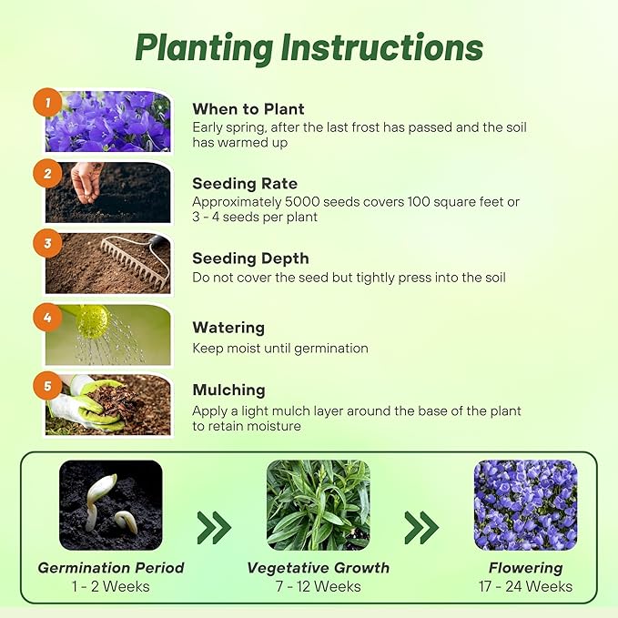Outsidepride Carpatica Blue Bellflower Seeds for Planting - 10000 Pcs Perennial Mat-Forming Flower Seeds with Bell Shaped Blooms & Low Growth Habit for Edging Pollinator Gardens, Containers, & Borders