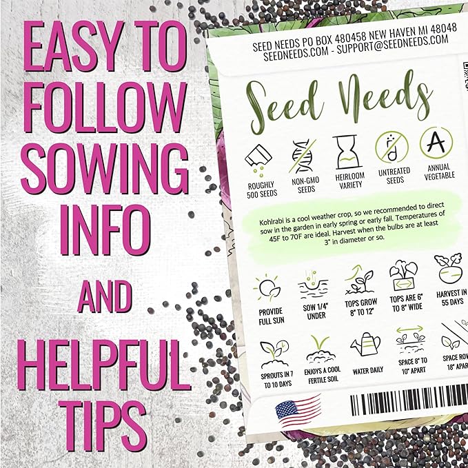 Seed Needs Kohlrabi Seeds for Planting Purple Vienna Kohlrabi Crops - Non-GMO Heirloom & Untreated Vegetable Seed to Plant an Outdoor Home Grown Veggie Garden (Purple Kohlrabi, 5 Packs (2,500 Seeds))