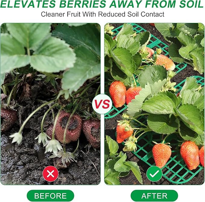 Strawberry Plant Supports, 10 Pack Square Frames Keep Strawberries Off Ground, Reusable Strawberry Plant Stands for Cleaner Strawberries & Easy Harvest