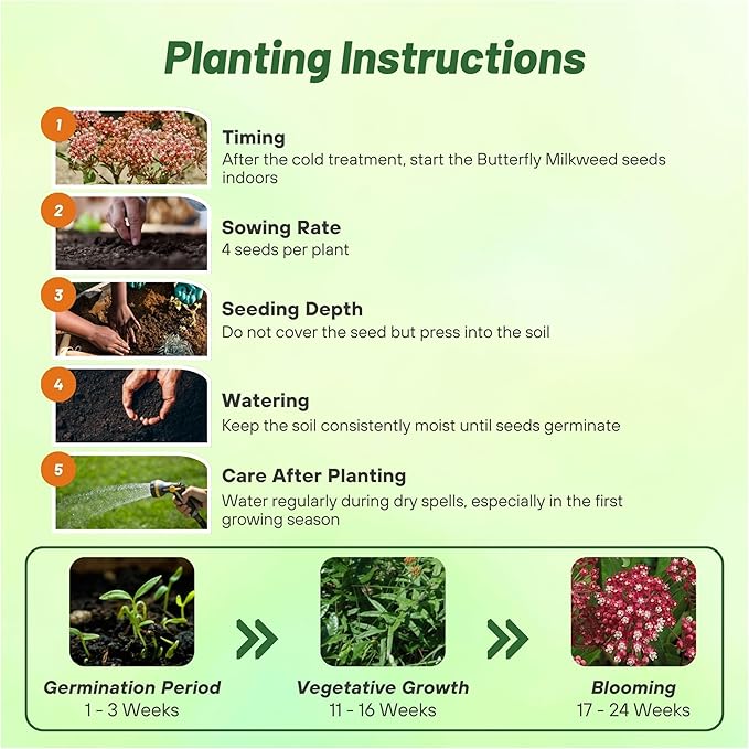 Outsidepride Carmine Rose Swamp Milkweed Seeds - 500 Pcs Perennial, Heat & Humid Tolerant, Pollinator-Friendly Wildflower Seeds, Ideal for Monarch Butterflies, Cut Flowers, Borders, or Meadows