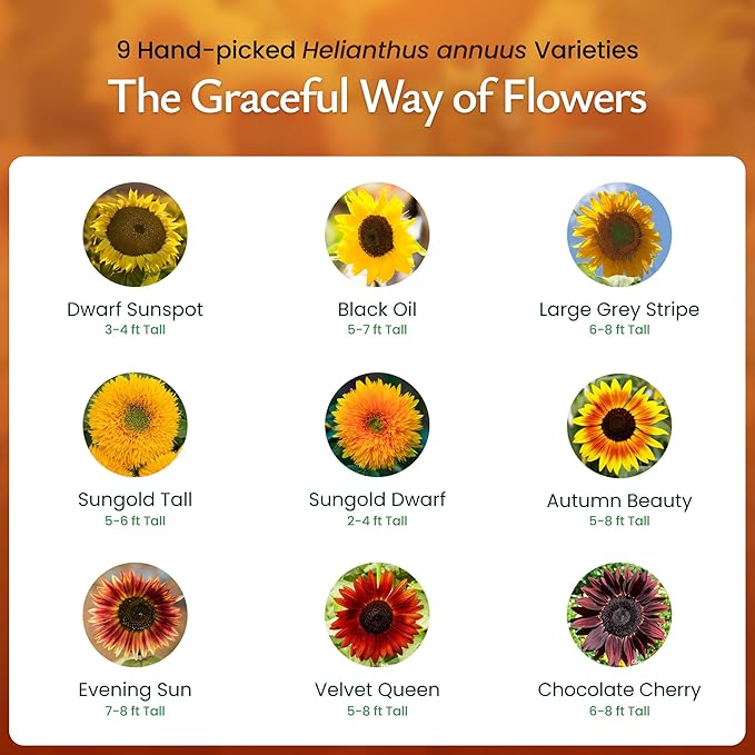 Created By Nature Sunflower Seeds to Plant, 9-Variety Sunflower Seed Mix, 1,000 Seeds
