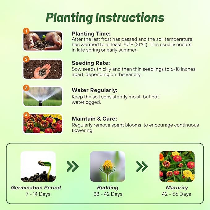 Outsidepride South of The Border Zinnia Seeds - 2000 Pcs Annual, Heat & Drought Tolerant Flower Seeds for Planting w/Vibrant Blooms for Pollinator Gardens & Floral Arrangements