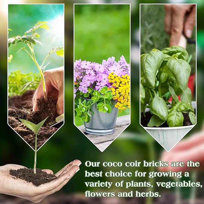 Halatool 10-Pack Coco Coir Bricks, Organic Coconut Coir Soil for Plants, Gradening, Seed Starter, Potting Mix, Reptile Substrate, 72 Quart Expanding Soil