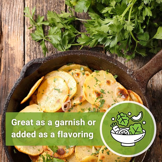 Sow Right Seeds - Flat Leaf Parsley Seed for Planting - Non-GMO Heirloom Packet with Instructions to Plant and Grow a Kitchen Herb Garden - Indoor or Outdoor - Great for Hydroponics Growing (4)