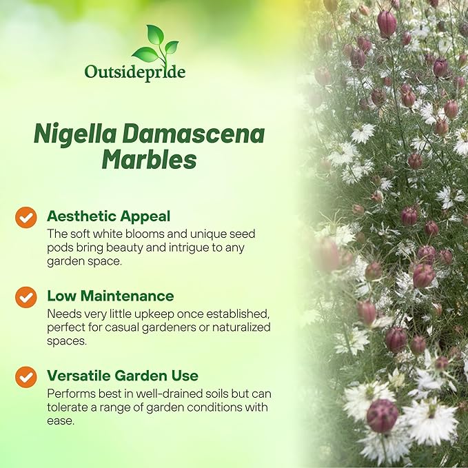 Outsidepride Jewels Marbles Nigella Seeds - 2000 Pcs Annual Flower Seeds for Planting with Vibrant Blooms & Lacy, Fern-Like Foliage, Attractive Cut Flower for Small Garden Spaces & Floral Arrangements