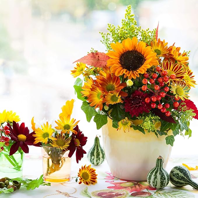 French Marigold Flower Garden Seeds - Durango Series - Flame - 1000 Seeds - Annual Flower Gardening Seed - Tagetes patula