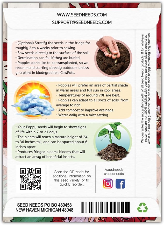 Seed Needs Danish Flag Poppy Seeds for Planting - Heirloom & Open Pollinated Annual Flowers - Attracts Pollinators/Butterflies to a Butterfly Garden (5 Packs)