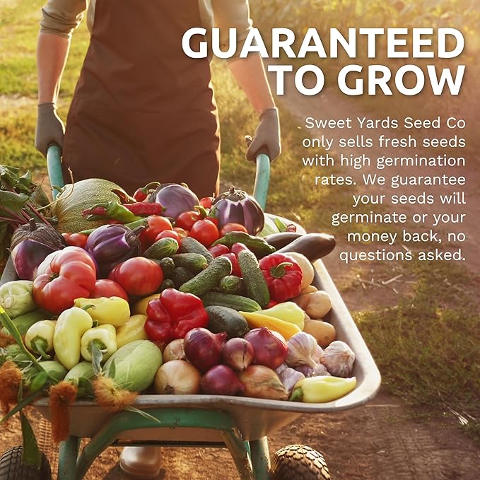 Organic Cherry Tomato Seeds Variety Pack - 5 Individual Packs - 2026 Season - Green Zebra, Sweetie Cherry, Chadwick, Yellow Pear and More! for Indoor & Outdoor Planting (Non-GMO, Certified Organic)