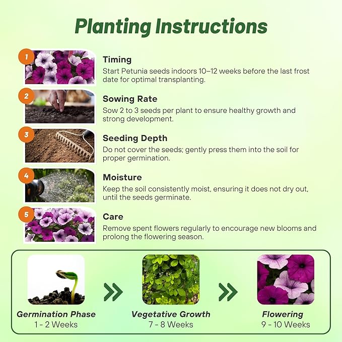 Outsidepride Plumb Pudding Mix Easy Wave Petunia Seeds - 30 Pcs. Annual, Compact & Spreading Flower Seeds for Planting Low Growing Vibrant Blooms, Ideal for Garden Beds, Baskets & Container Displays