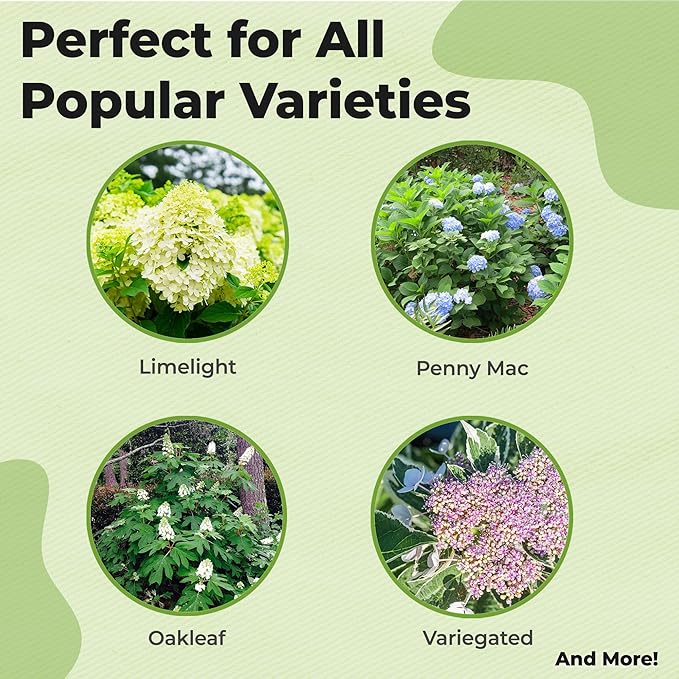 Premium Liquid Hydrangea Fertilizer by Perfect Plants | Bloom Booster | Fertilizer for Hydrangeas and Other Flowering Plants (8 fl oz)