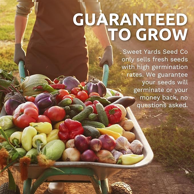 Sweet Yards Seed Co. Organic Lemon Balm – Two Seed Packets! – Approx. 682 Open Pollinated Non-GMO Herb Seeds