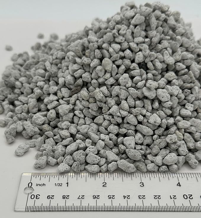 Pumice for Plants Bonsai 1 Pint 1/4" Succulent Cactus Indoor Plants Horticultural Soil Amendment Additive Regulates Moisture High Porosity Fast Drainage Aeration Awesome Industries