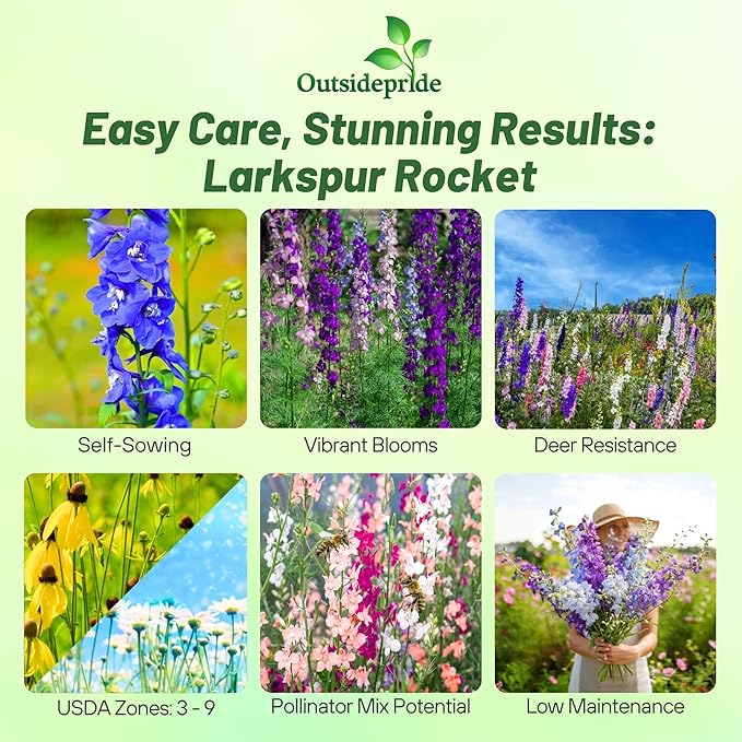 Outsidepride Mixed Rocket Larkspur Seeds for Planting Outdoors - 1000 Pcs Annual, Self-Seeding, Heat & Drought Tolerant Wildflower Seeds for Cut Flower Arrangements & Pollinator Gardens