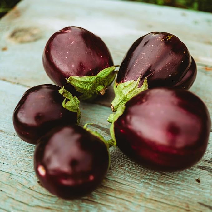 Black Beauty Eggplant - 50 Seeds - Heirloom & Open-Pollinated Variety, Non-GMO Vegetable Seeds for Planting Indoors or Outdoors in Containers or The Home Garden, Thresh Seed Company