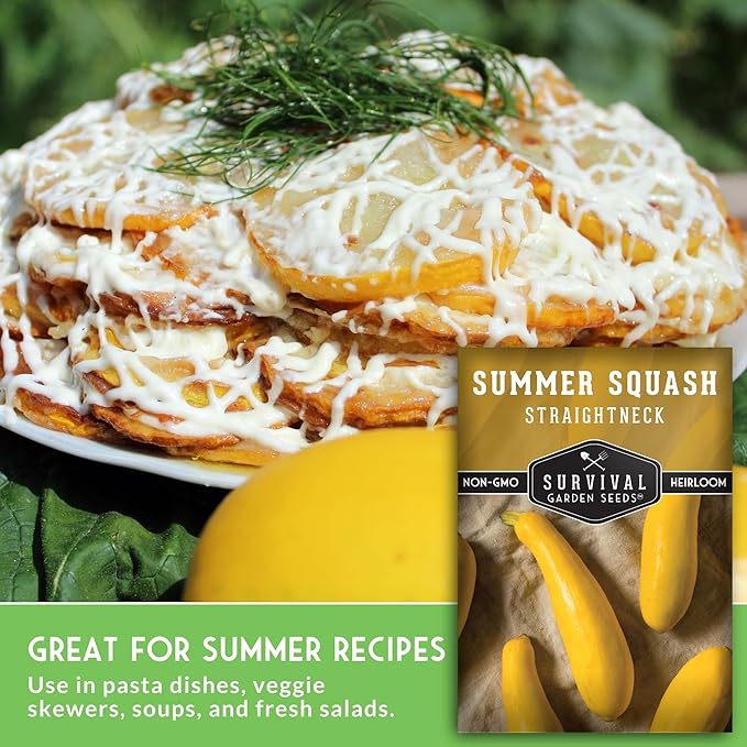 Survival Garden Seeds - Straightneck Summer Squash Seed for Planting - 3 Packets with Instructions to Plant and Grow Yellow Squash in Your Home Vegetable Garden - Non-GMO Heirloom Variety