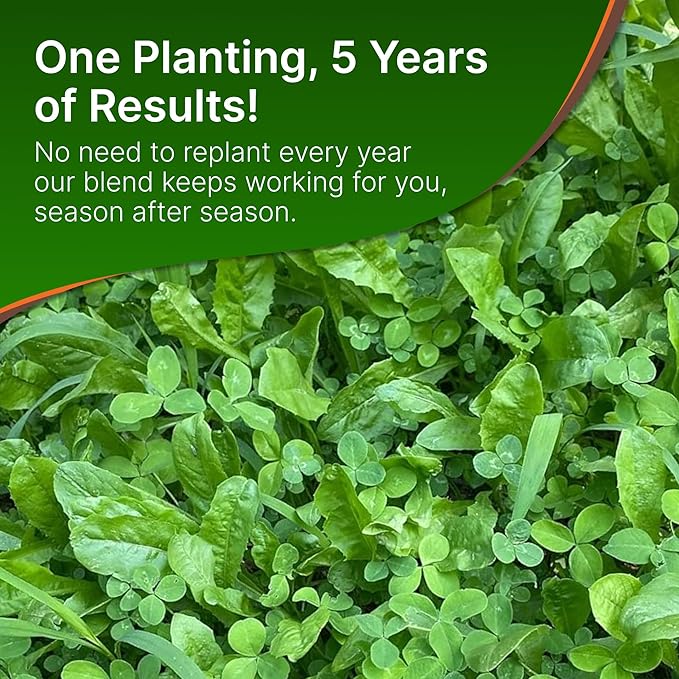 HIT LIST SEED® Chicory + Clover Food Plot Seeds for Deer [Perennial] - Deer Food Plot Seed Perennial - Deer Plot Seed Mix - Chicory, Ladino Clover, Red Clover - Spring, Summer & Fall Planting - 3 lbs