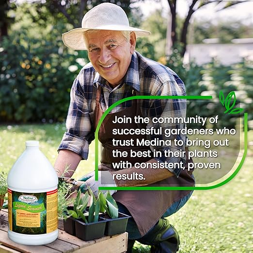 Medina Liquid Seaweed Fertilizer for Plants - Concentrated Seaweed Fertilizer for Lawn and Garden - Enhances Plant Growth and Soil Health - Ready to Spray - 1 Gallon Covers 64000 Sq. Ft.