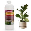 𝐏𝐑𝐎𝐅𝐄𝐒𝐒𝐈𝐎𝐍𝐀𝐋 Liquid Silica Plant Supplement - 32oz - FIDDLE LEAF FIG Plants Liquid Silica Boost Fertilizer - Stronger Stems & Healthy Leaves for Indoor & Outdoor Plants (Makes 180 Gallons)
