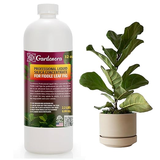 𝐏𝐑𝐎𝐅𝐄𝐒𝐒𝐈𝐎𝐍𝐀𝐋 Liquid Silica Plant Supplement - 32oz - FIDDLE LEAF FIG Plants Liquid Silica Boost Fertilizer - Stronger Stems & Healthy Leaves for Indoor & Outdoor Plants (Makes 180 Gallons)