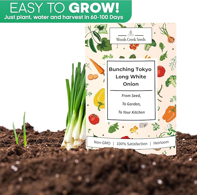 Woods Creek Seeds: Bunching Tokyo Long White Onion Seeds for Planting - Heirloom Green Onion Seeds for Planting - Non-GMO Heirloom Seed Pack of Crisp Onions for Outdoors and Home Gardening