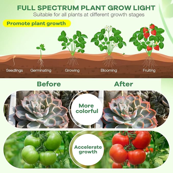 Led Grow Lights, 4 Heads Red Blue Plant Light with Clamp for Indoor Plants & Seed Starting, 10-Level Dimmable, Auto On Off, Timing 3 9 12Hrs