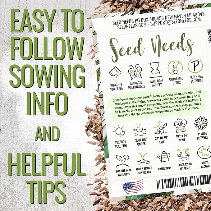 Seed Needs White Swan Coneflower Seeds for Planting Echinacea - Heirloom & Open Pollinated Perennial Flower - Attract Pollinators to a Butterfly Garden (2 Packs)