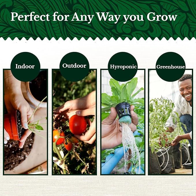 20 HERB Seeds Variety Pack - Complete Grow Kit Culinary Herbs Indoor Outdoors Herb Seeds, Basil, Oregano, Mint, Thyme & More Individually Seed Packets Starter Kit (Seeds Only)