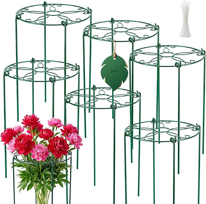 6 Pack 16 x 30 Inch Peony Cages and Supports, 16" D x 30" H Grow Through Plant Support Grid Brace for Outdoor Plants Flower, Metal Peony Stake Peony Ring Hoops Frame Support for Rose Tomato Vegetables